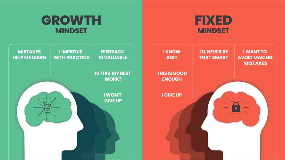 Embracing a Growth Mindset for Personal and Professional Development